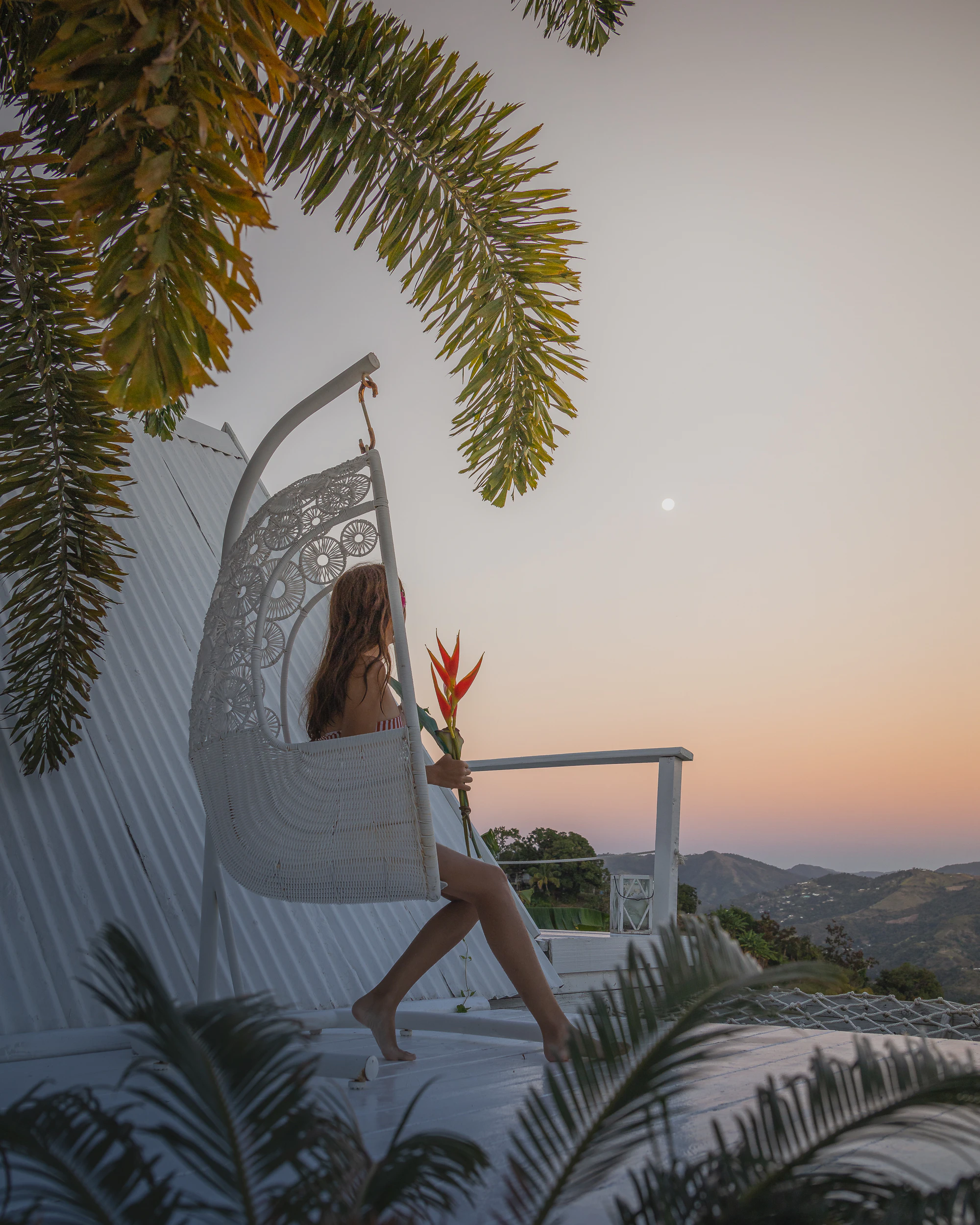 a girl sitting on a white hanging chair with a birds of paradise flower in her hand